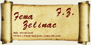 Fema Zelinac vizit kartica